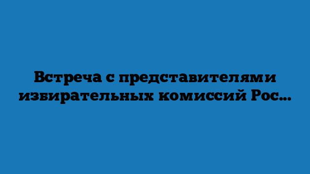 Встреча с представителями избирательных комиссий России